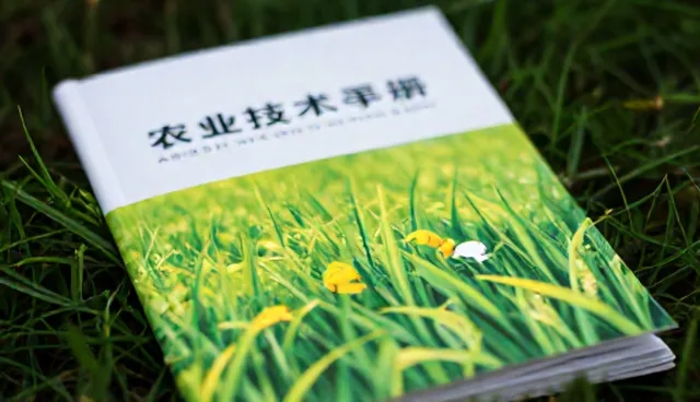 如何在品种选择中优化农机服务效率？